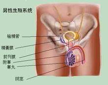 男性患有尿道炎的症状有哪些呢?