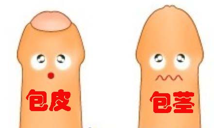 包茎对儿童有什么危害?