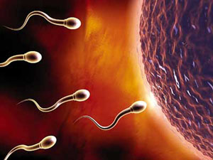 精子成活率低是怎么回事?