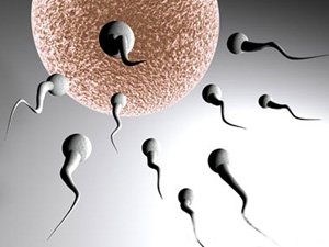 为什么男人的精子越来越少